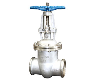 ��ո���բ��