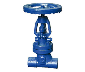 ��ո����ֹ��