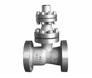 ����ֹ�ط�