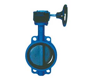 �ֱ����ϸ����ִ����Լ�ʽ���ܷ����